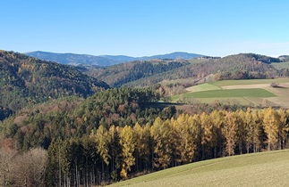 Bucklige Welt