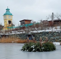 Bucklige Welt
