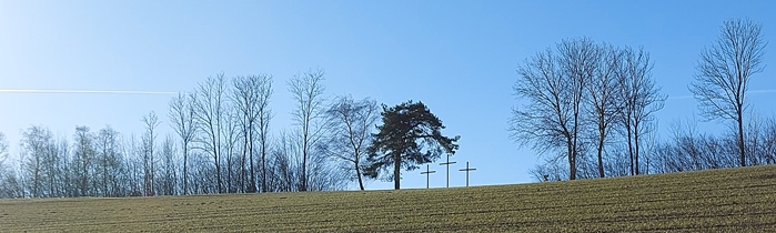 Bucklige Welt