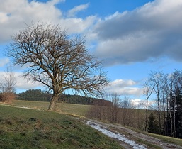 Bucklige Welt