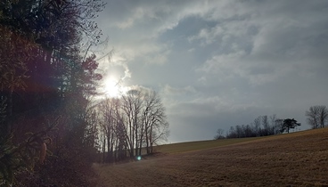 Bucklige Welt