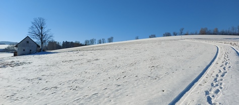 Bucklige Welt
