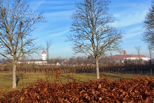 Wr.Neustadt