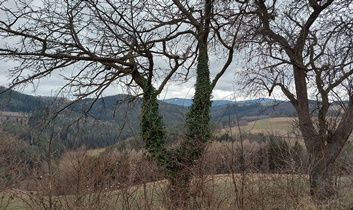 Bucklige Welt