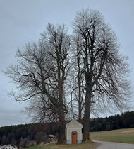Bucklige Welt