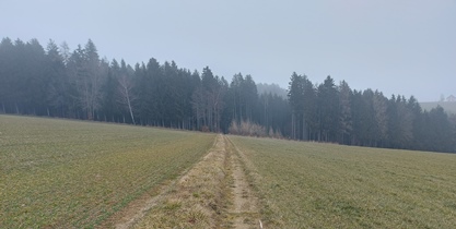 Bucklige Welt