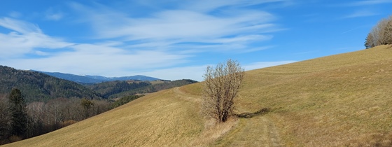 Bucklige Welt