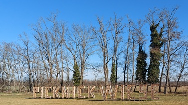 WN, Akademiepark