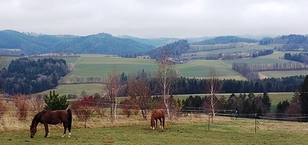 Bucklige Welt