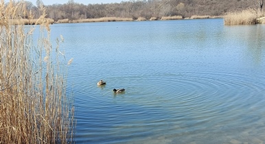 Wienerbersee