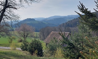 Bucklige Welt