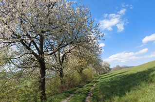 Bucklige Welt