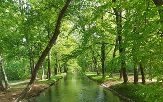 WN, Akademiepark