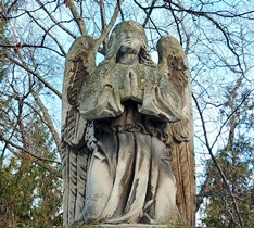 Engel