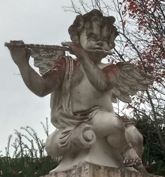 Engel